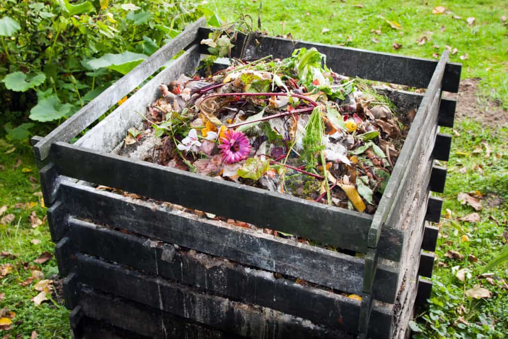 How to start composting at home - what to add to a new compost bin