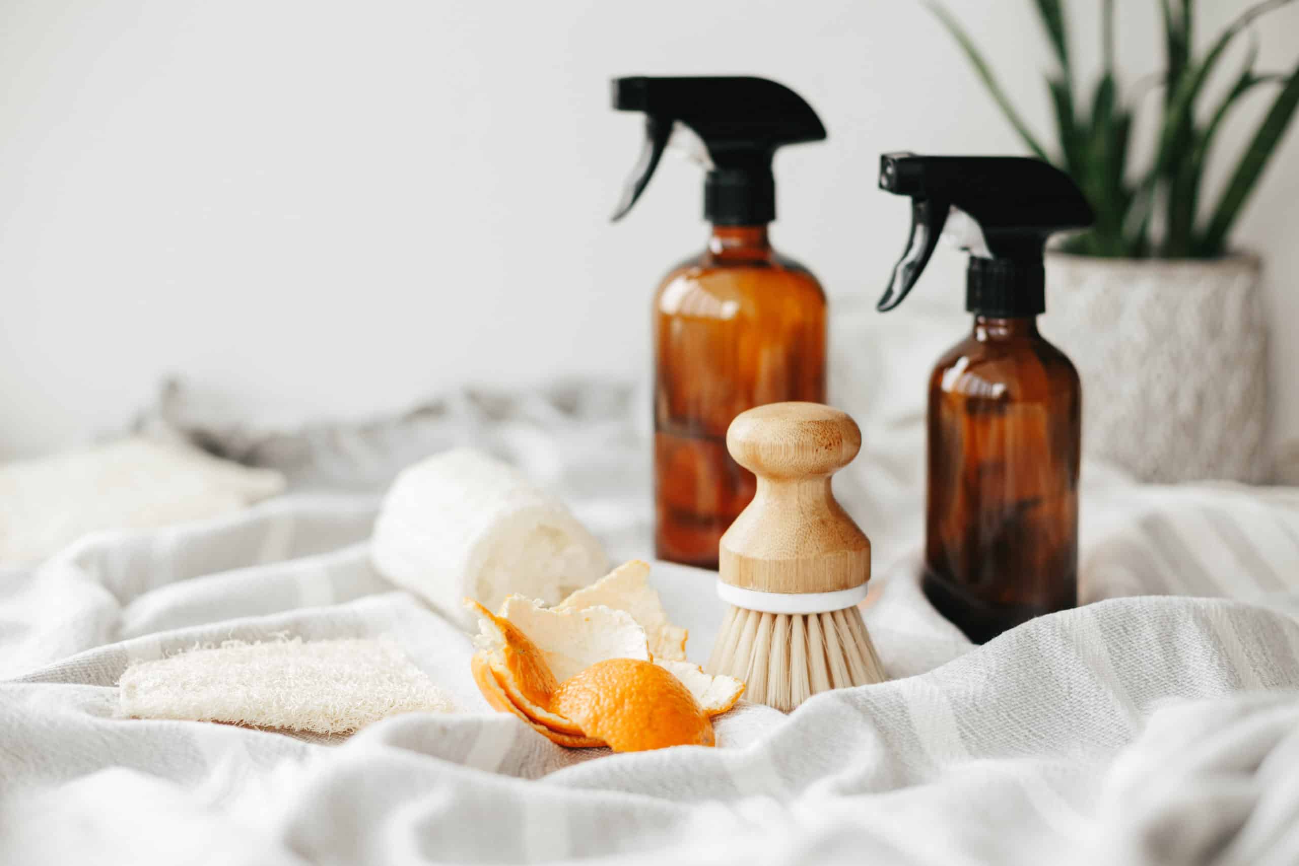 eco-friendly home cleaning products