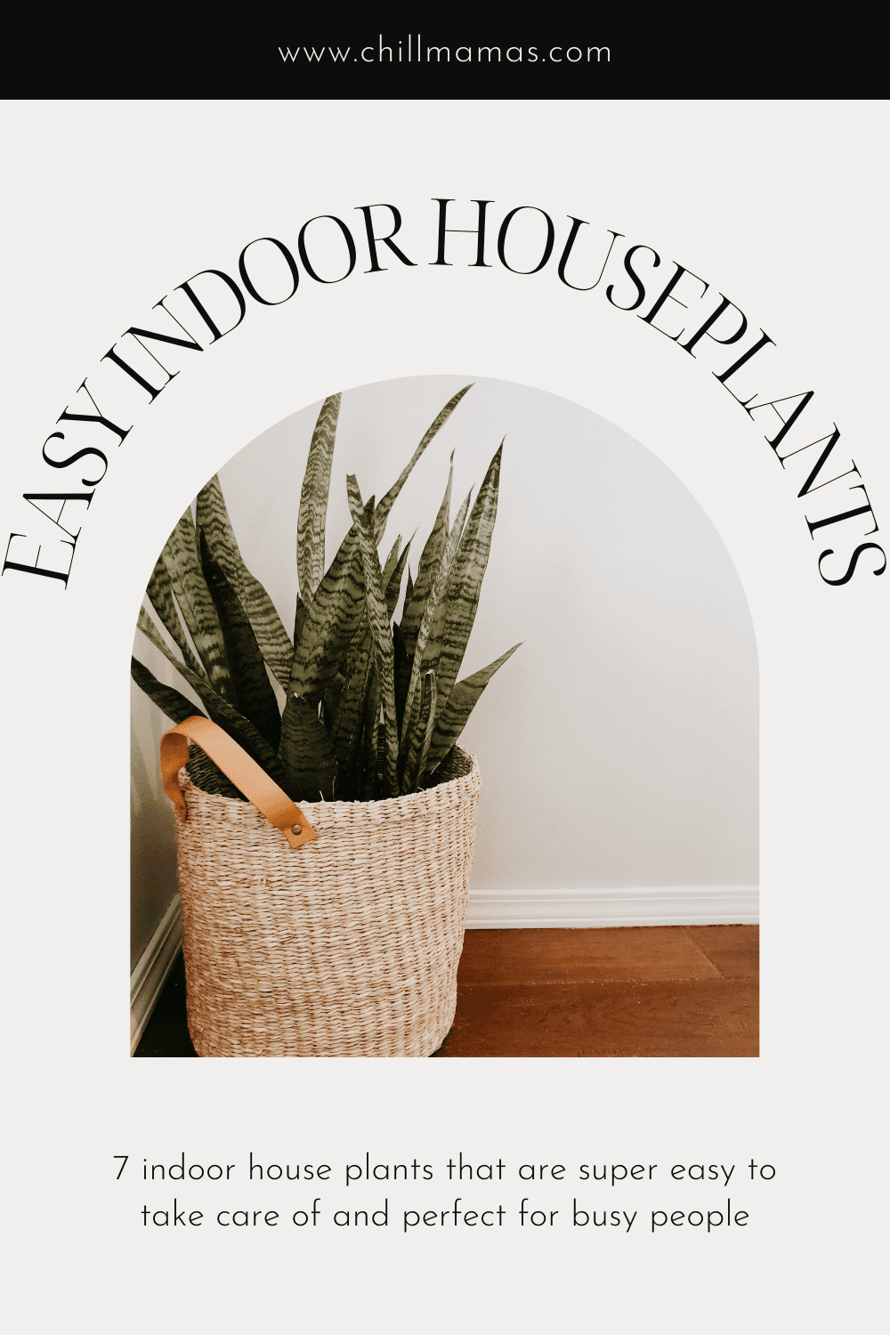 Easy indoor houseplants for busy people