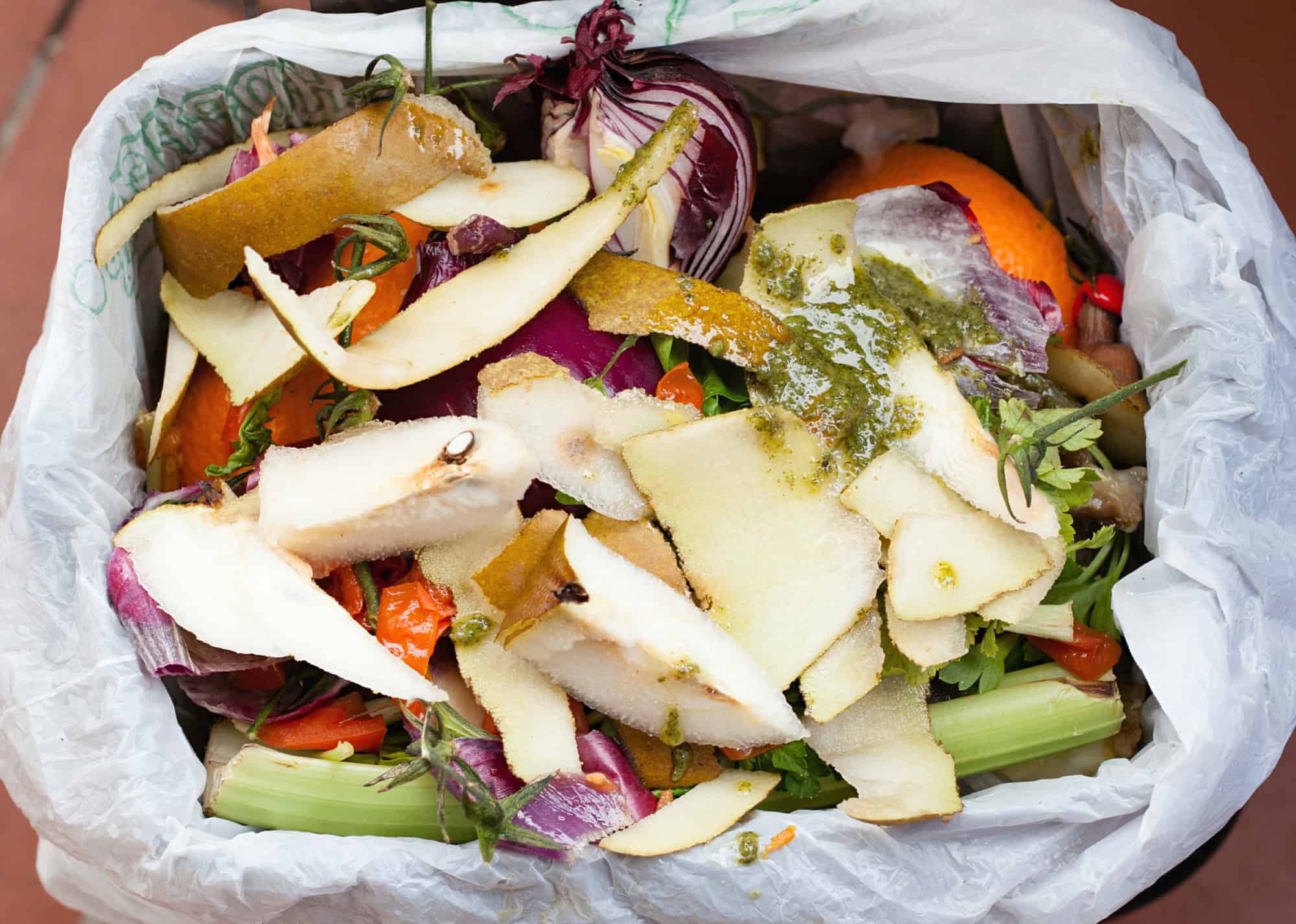 Food scraps for composting