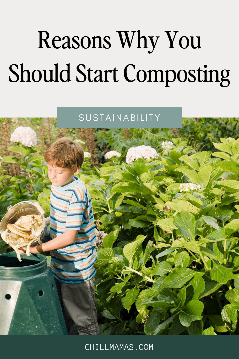 Reasons Why You Should Start Composting - Chill Mamas