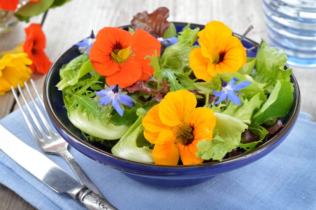Nasturtiums and borage flowers in a salad on a table