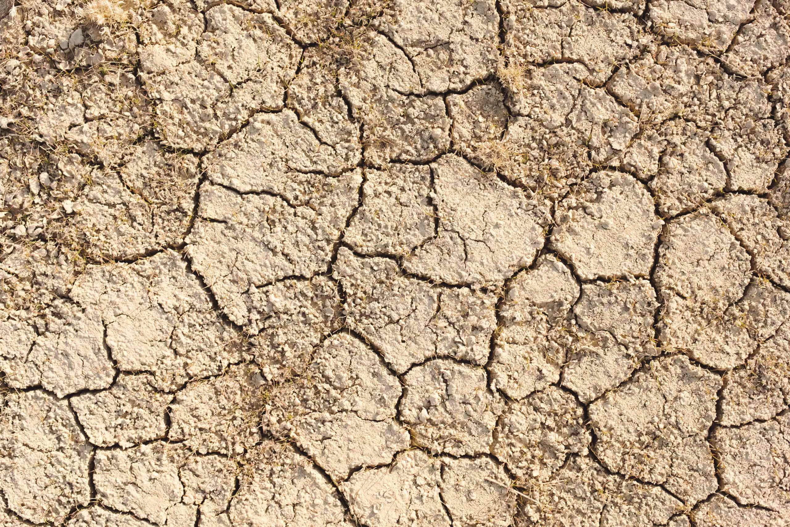 Cracked soil in a dry, hot climate