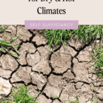 Home Gardening Tips for Arid and Dry Climates